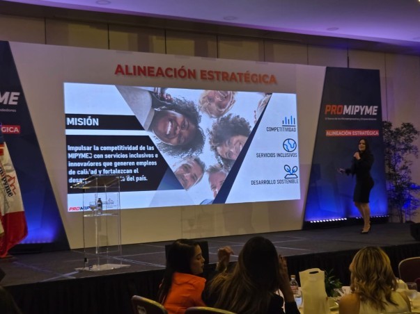 Directora Planificacion Promipyme Directora Planificacion Promipyme